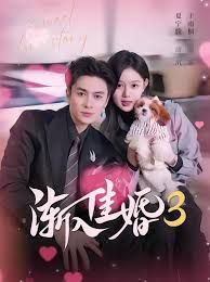 渐入佳婚3第三部